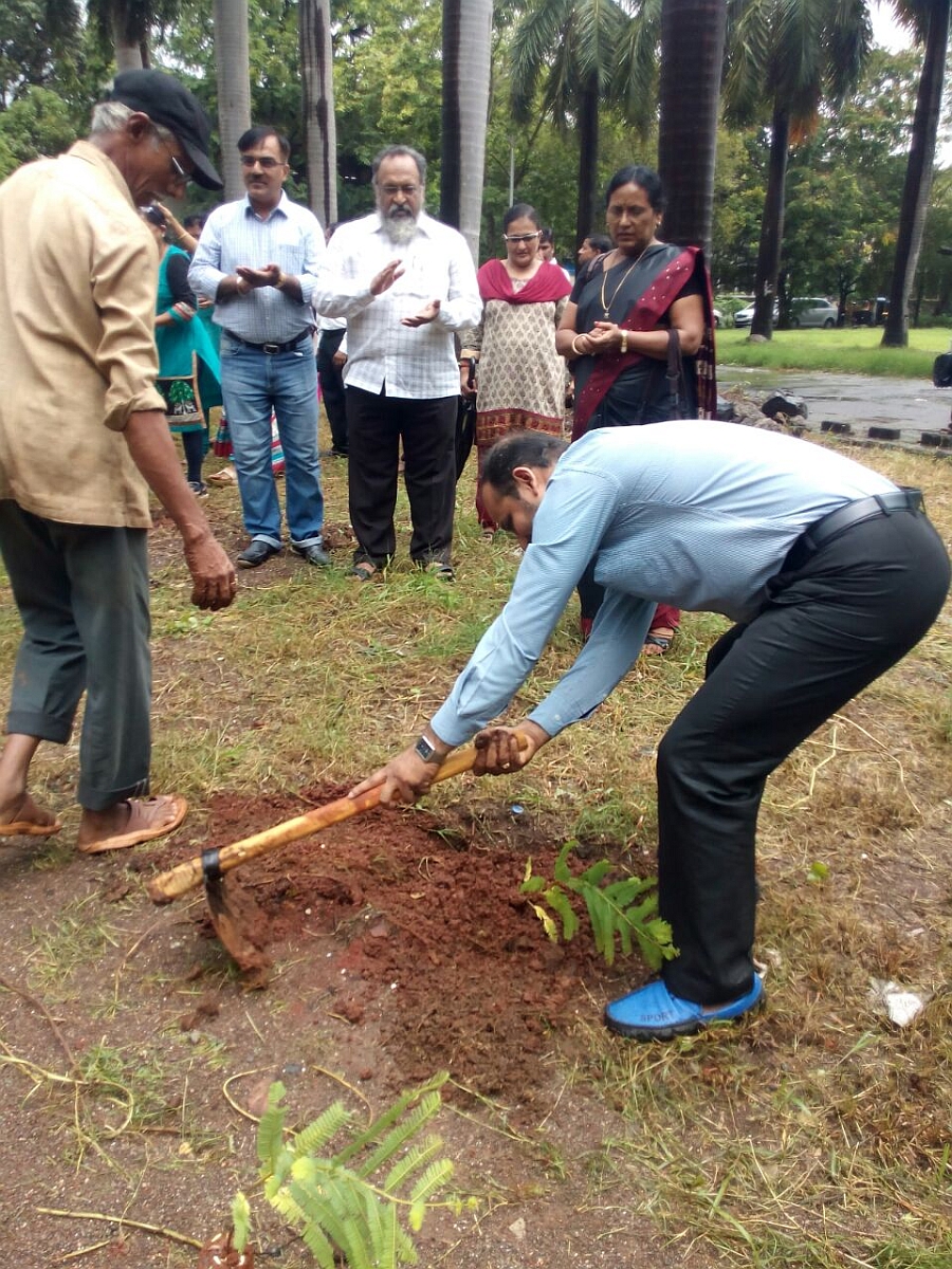 Tree Plantation Program