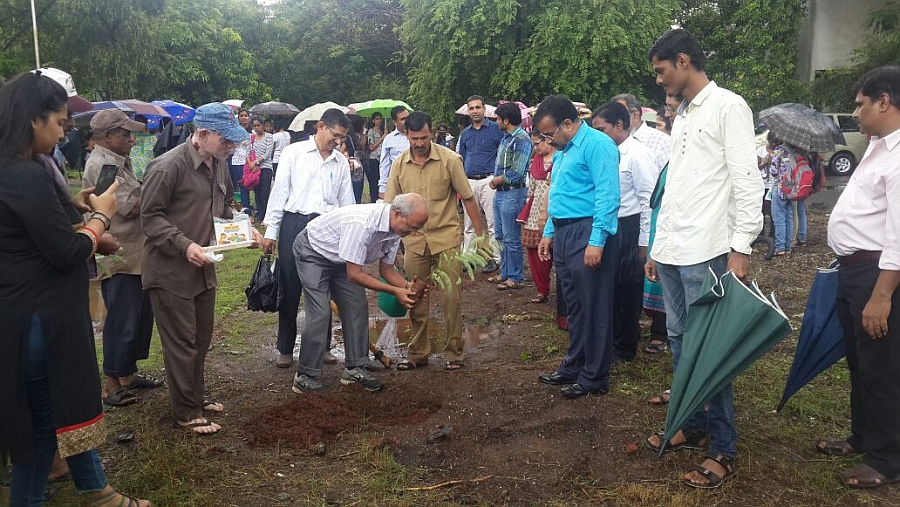 Tree Plantation Program