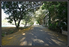 Shrivardhan